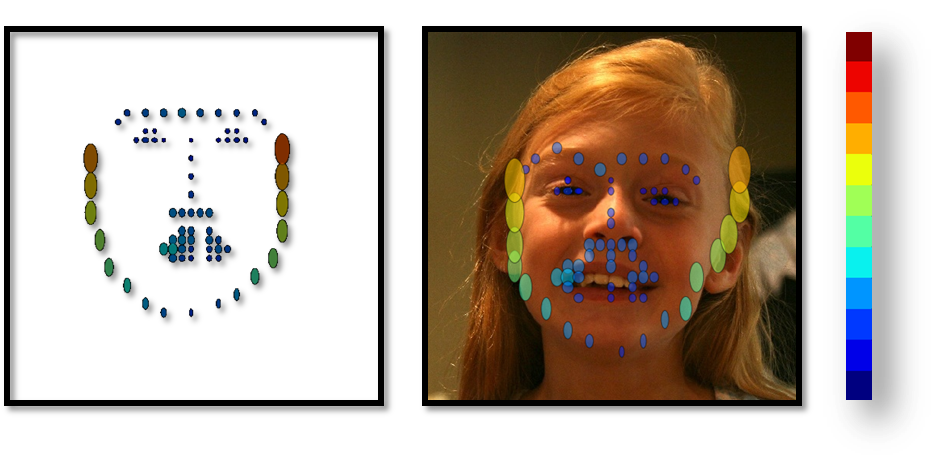 Uncertainties used in weighting features for face alignment