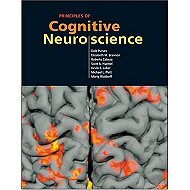 Principles of Cognitive Neuroscience