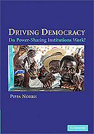 Driving Democracy: Do Power-Sharing Institutions Work?