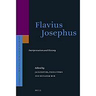 Flavius Josephus : Interpretation and History