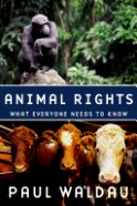 Animal Rights: What Everyone Needs to Know