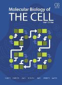 Molecular Biology of the Cell (6th Edition)