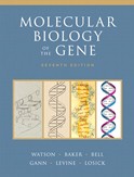 Molecular Biology of the Gene (Seventh Edition)