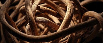 במת שוראקי לדת ולדעת- בין אמת לפיוס: דין וחשבון פילוסופי על רצח רבין