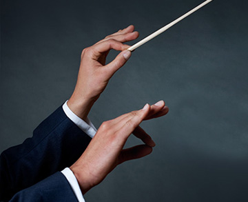 מסלול חדש באוניברסיטה הפתוחה