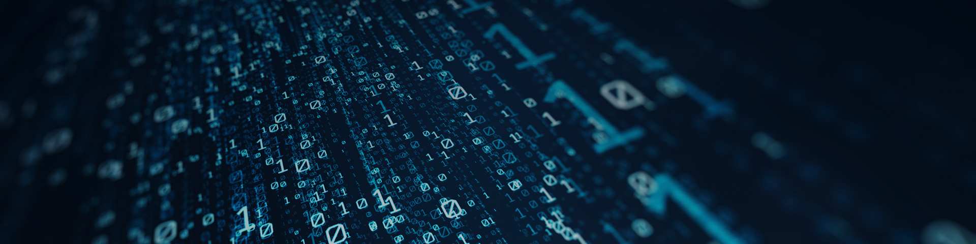 לימודי הנדסת תוכנה