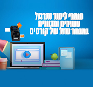 גמישות תכנית הלימודים