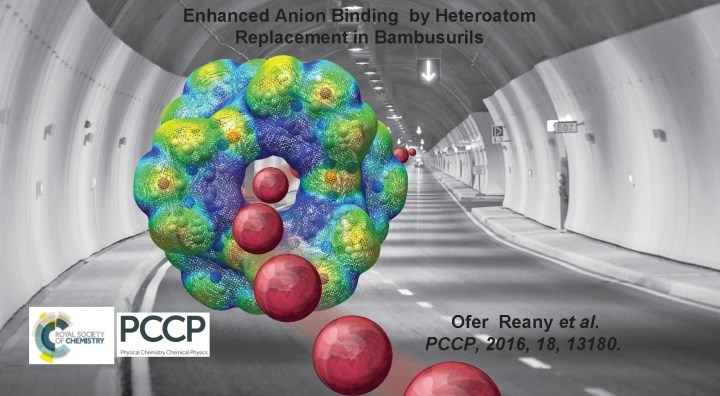  Anion Binding in Bambusurils