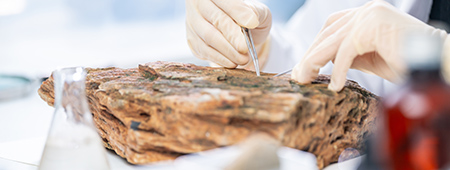 הבוגרות והבוגרים שלנו