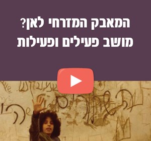 מליאת הסיכום 