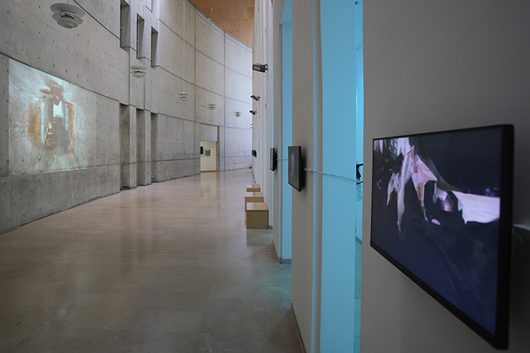 DHSS Hub | Art-Gallery