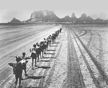 זוכרים באוניברסיטה