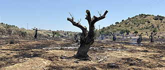 מכון האוניברסיטה הפתוחה לחקר יחסי חברה-צבא: שיחים אלטרנטיביים על יחסי צבא ומתנחלים
