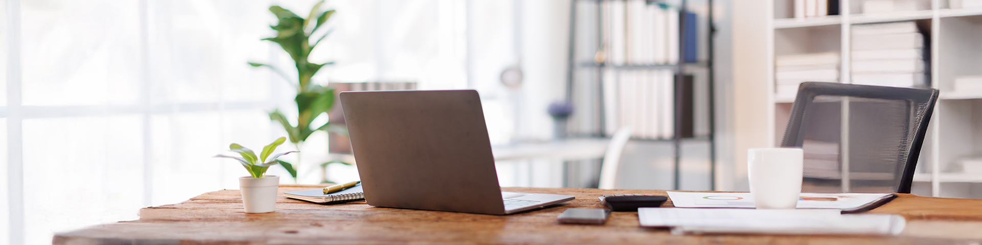 נוכחות והעדרויות