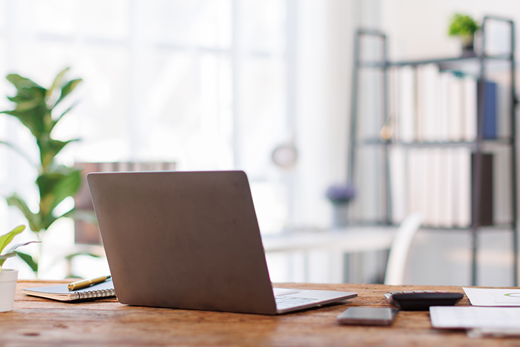 נוכחות והעדרויות