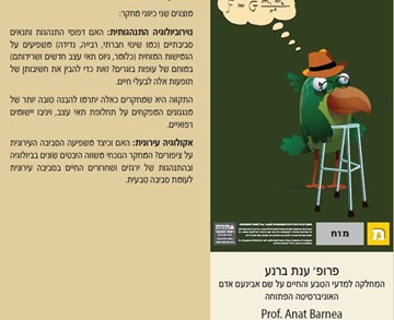 פרופ' ענת ברנע