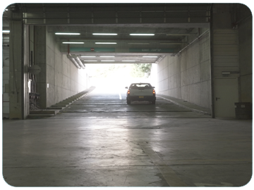 Newsletter November 2025