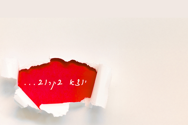 ספרים חדשים שיראו אור