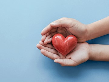 VOLUNTEERINGDAY