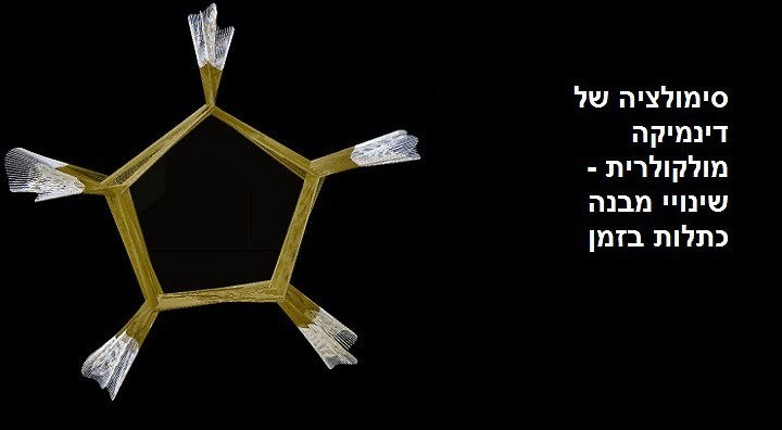 סימולציה של דינמיקה מולקולרית