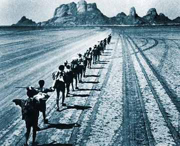 יום חמישי 17.5