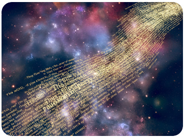 Newsletter November 2025