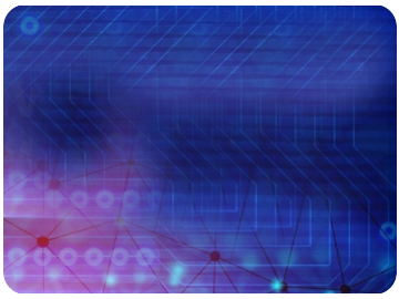 Newsletter November 2025