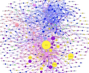 ד"ר ענת בן-דוד 