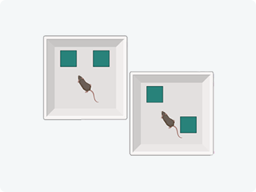 Location Object Recognition 