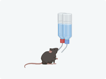 Sucrose Preference
