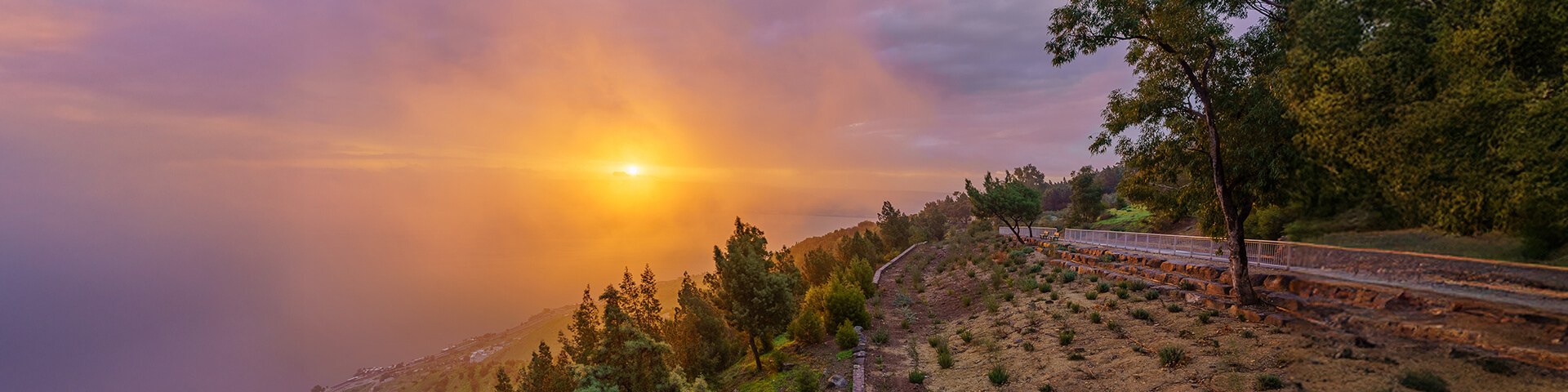 שער אסכולה 12