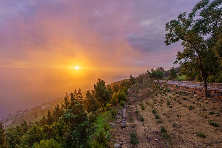 שער אסכולה 12