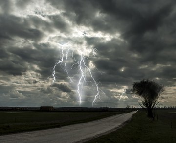 ד"ר ברוך זיו