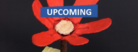 catalogue Launch & Tour