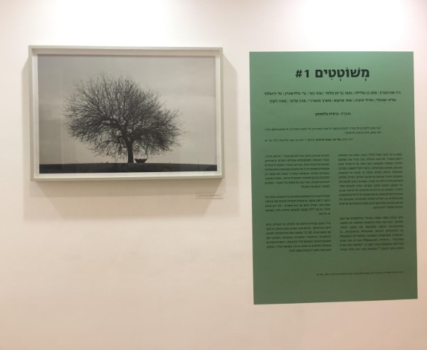 5 מתוך 52