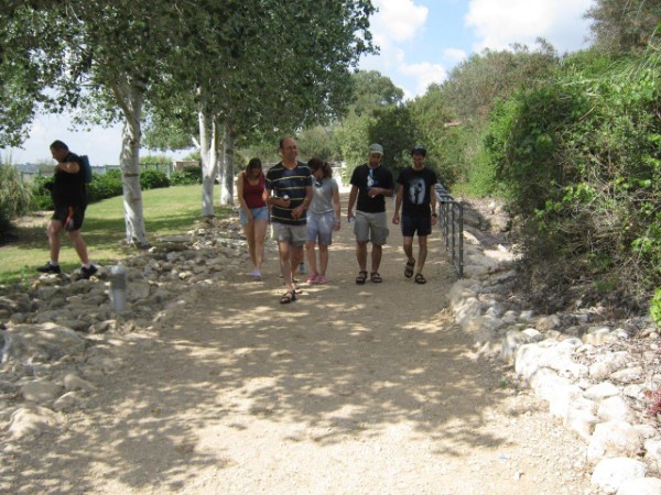 18 מתוך 33