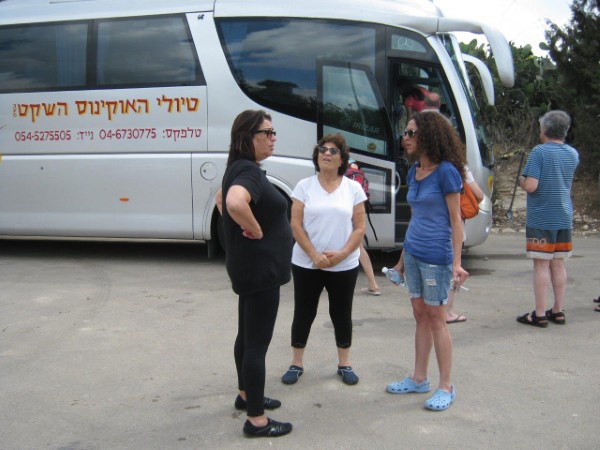 23 מתוך 33