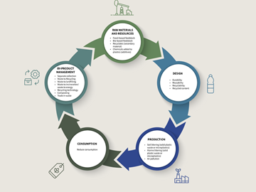 Application of circular economy principles to the reduction of food waste in service organizations